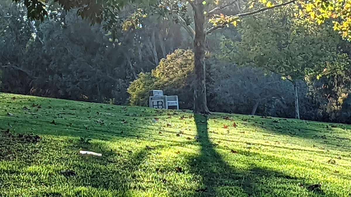 Google Pixel 6 camera samples