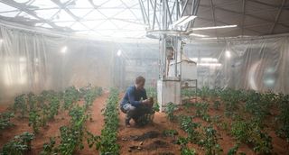 Matt Damon grows potatoes on Mars in "The Martian"