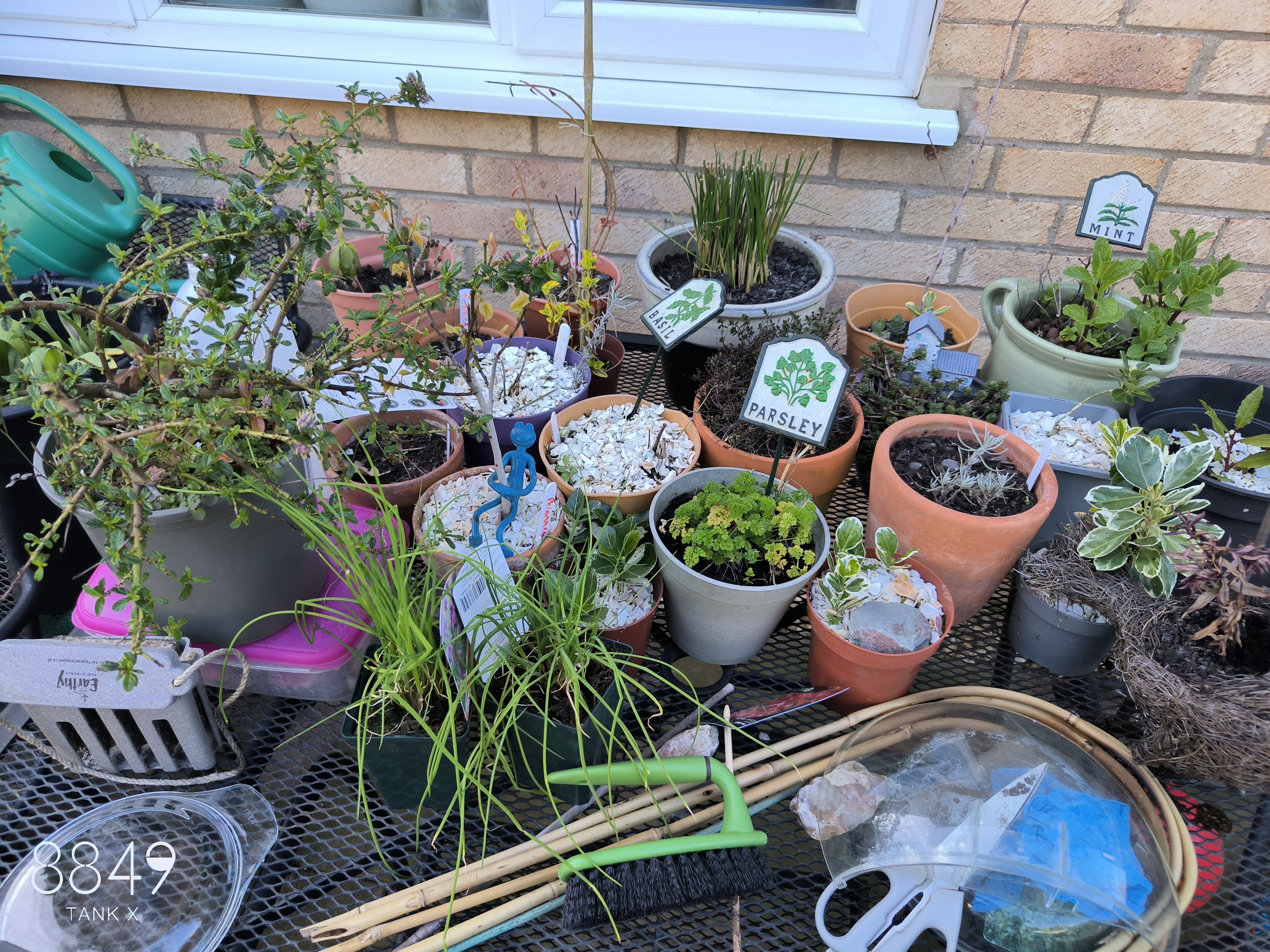 8849 Tank X Example Photos