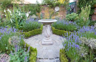 water feature in the centre of a lavender parterre
