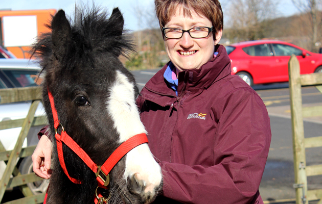 foal rescued