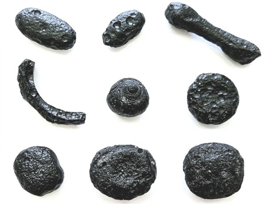 Nine black stone-like objects