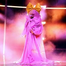 sia on stage