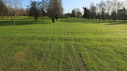 A fairway with track marks on it
