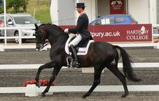 Carl-Hester-Moviestar-2008.jpg