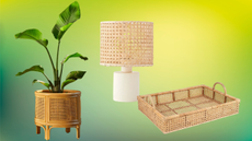 rattan planter, lamp and tray