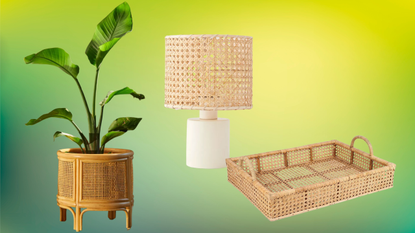 rattan planter, lamp and tray