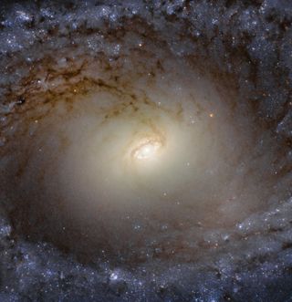 The spiral galaxy IC 2051, seen here in an image from the Hubble Space Telescope, is shaped like a flying saucer, with a bulge of stars at the center of its flat disk. This type of galactic bulge is believed to influence the growth of supermassive black holes that lurk at the center of most spiral galaxies, and they play a key role in how galaxies evolve.