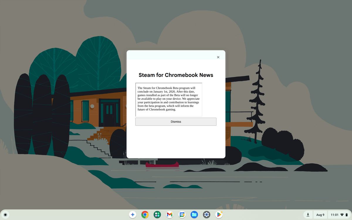 Steam For Chromebooks Is Getting Axed In 2026 Instead Of Exiting Its 4 1200 80 