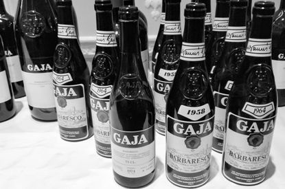 Gaja Piedmont