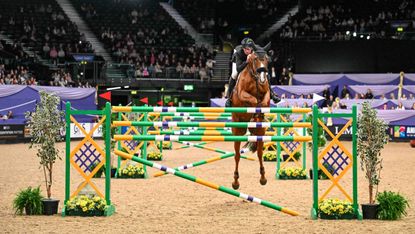 David Simpson and Cindy R win the HOYS six-bar