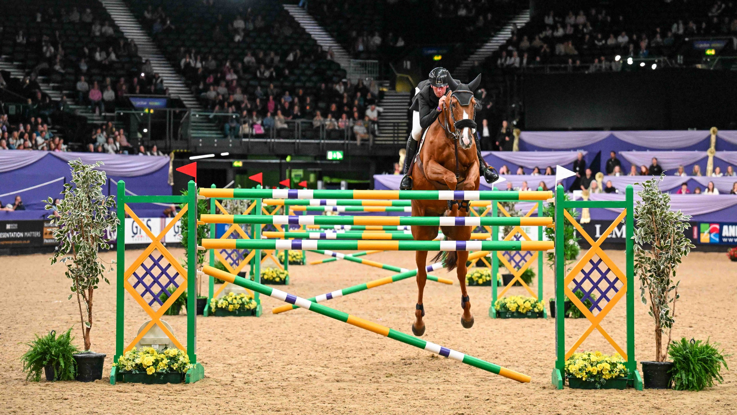 David Simpson and Cindy R win the HOYS six-bar