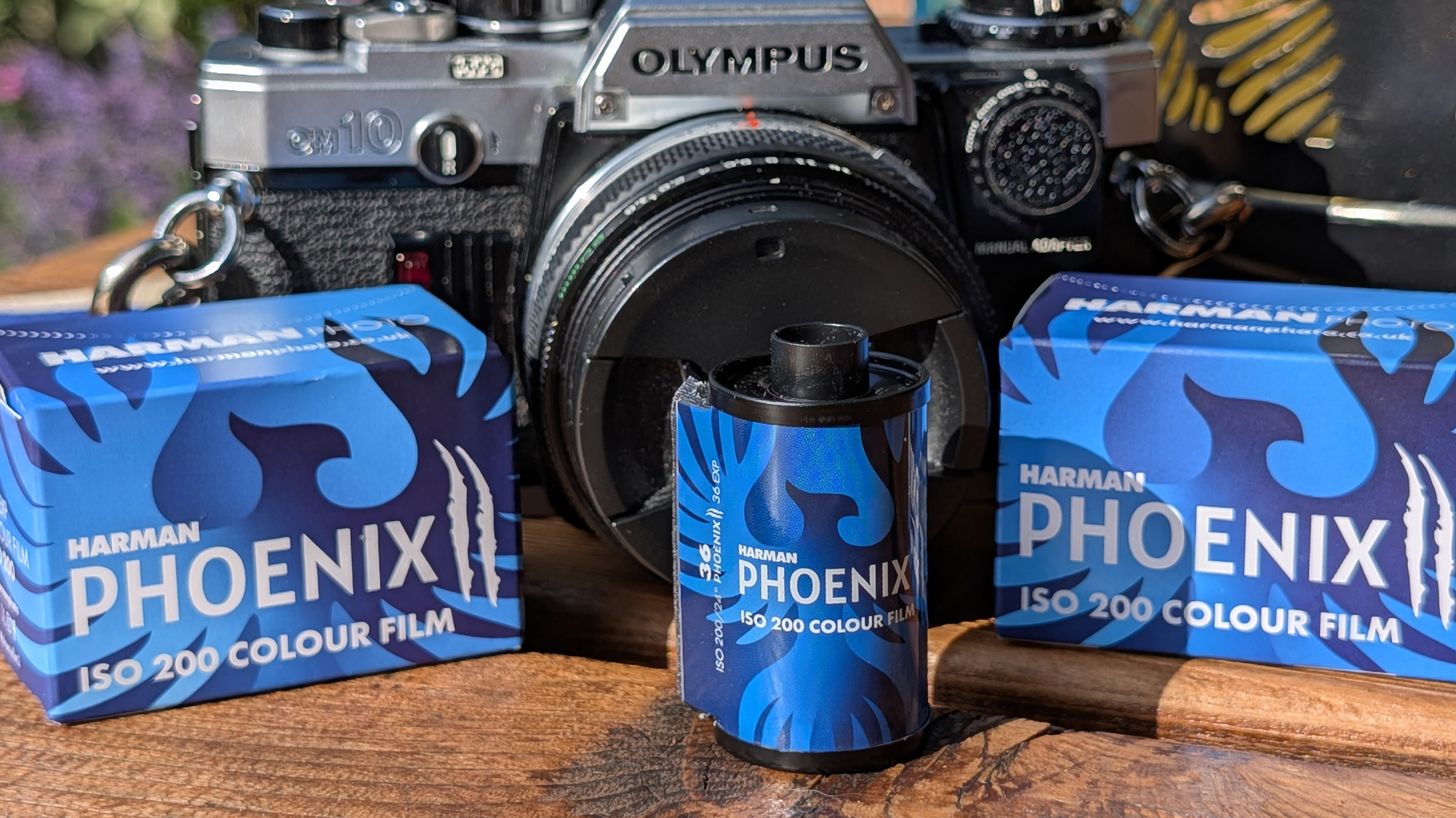 Harman Phoenix II color film with Olympus OM10 camera