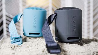 Sony SRS-XB100 sitting in the sand on the beach