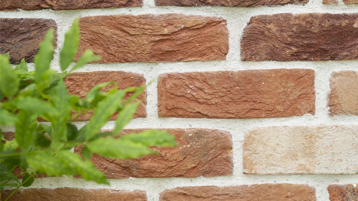 How Much Does Repointing Cost? What You Can Expect To Pay | Homebuilding