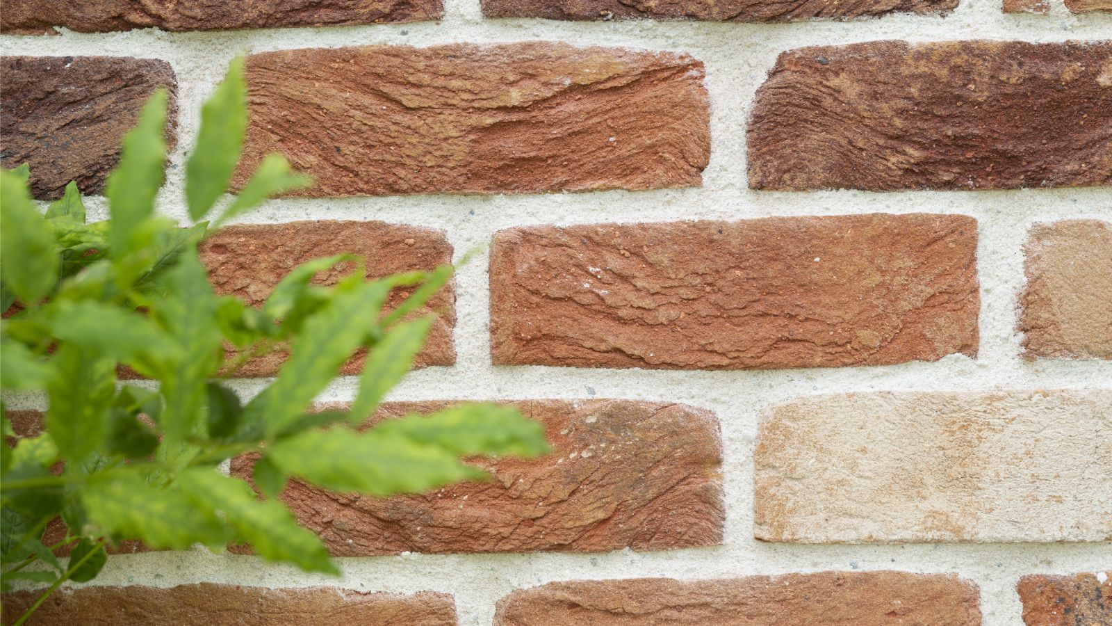 How much does repointing cost? What you can expect to pay | Homebuilding