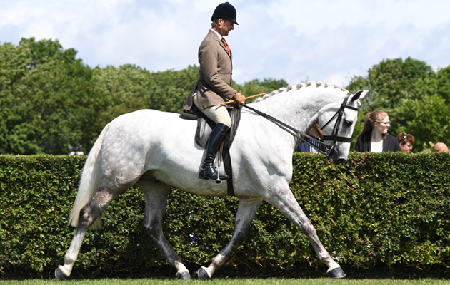 Lincs.-show-20.06.1879205_208924502_293426912.jpg