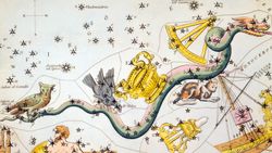 A stylized 19th century drawing of the constellation Hydra representing it as a mythological dragon with a chalice and birds riding on its back.