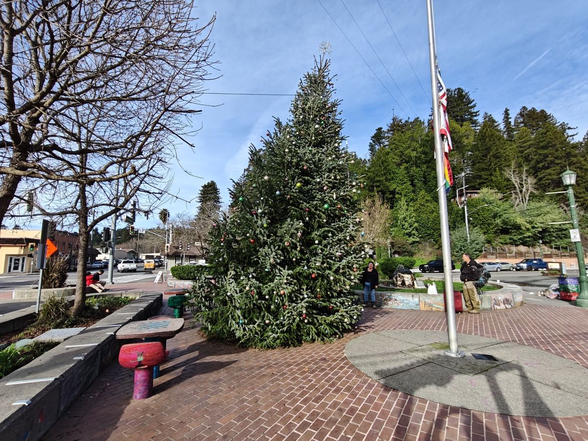 Christmas tree shot by OnePlus 13R in ultrawide
