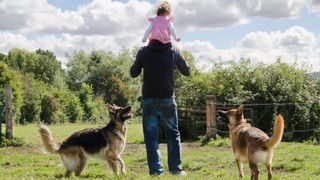 Man out for a walk with child on his shoulders and German Shepherd dog either side