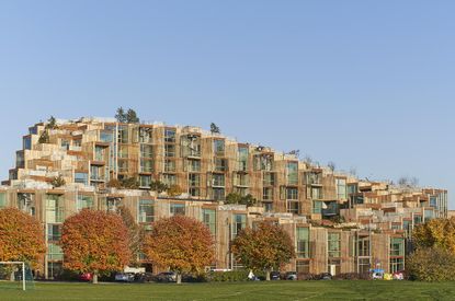 Exterior of multi-storey residential building with grass landscaping and spaced out trees in the forefront.