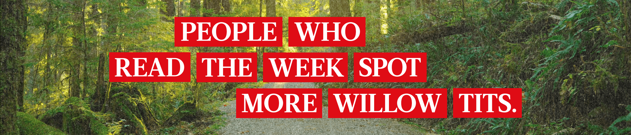 People who read The Week spot more willow tits