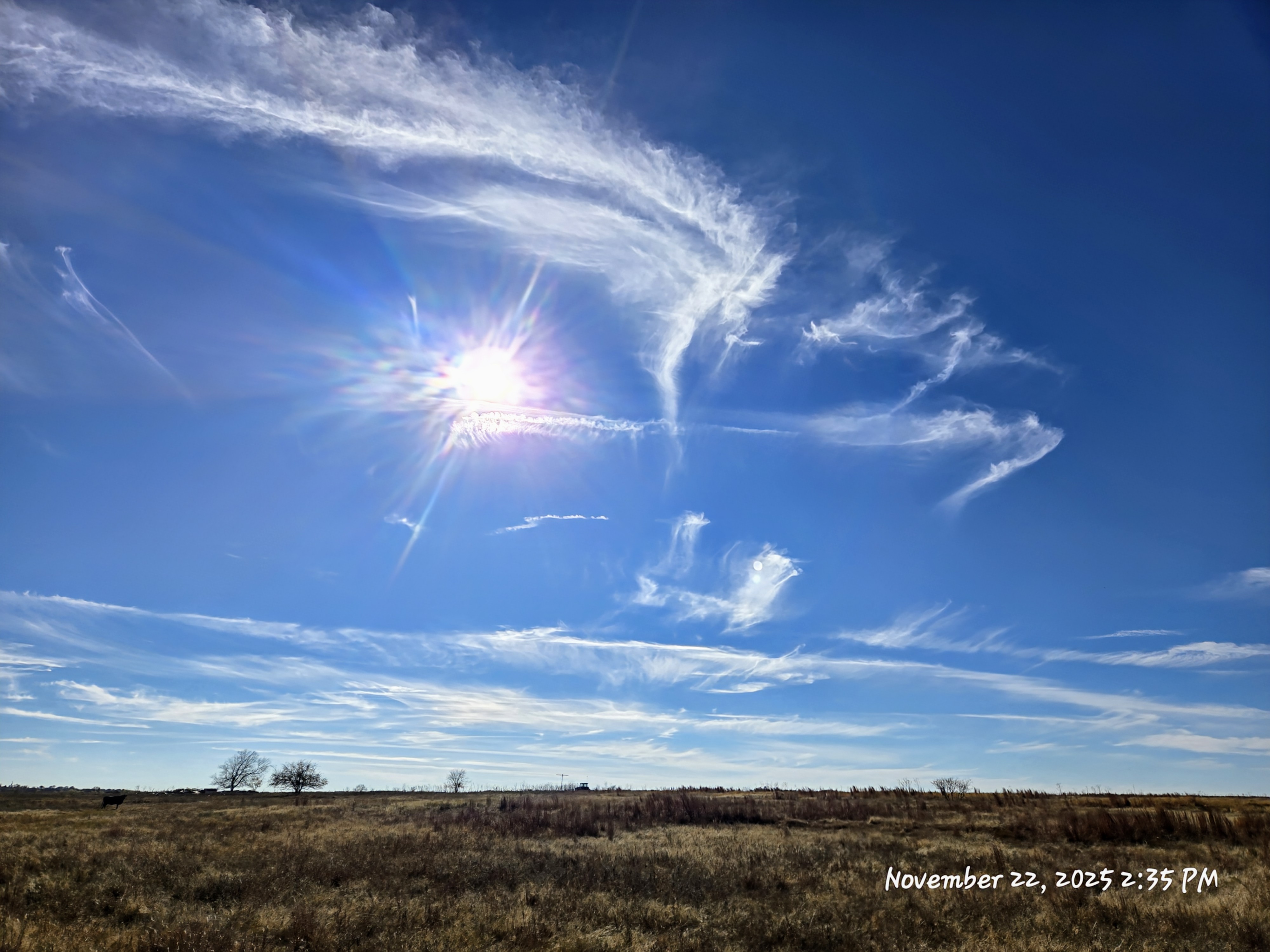 GuruShots - March 2026