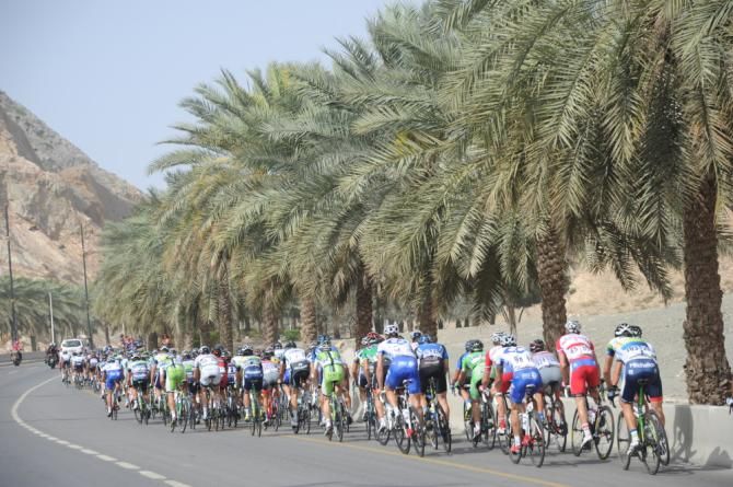 The peloton passes underneath the palms of Oman