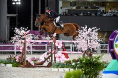 Explosion W Hickstead bound: British Nations Cup team Hickstead Royal International. Ben Maher is on the British side, and is also entered for other classes with Explosion W