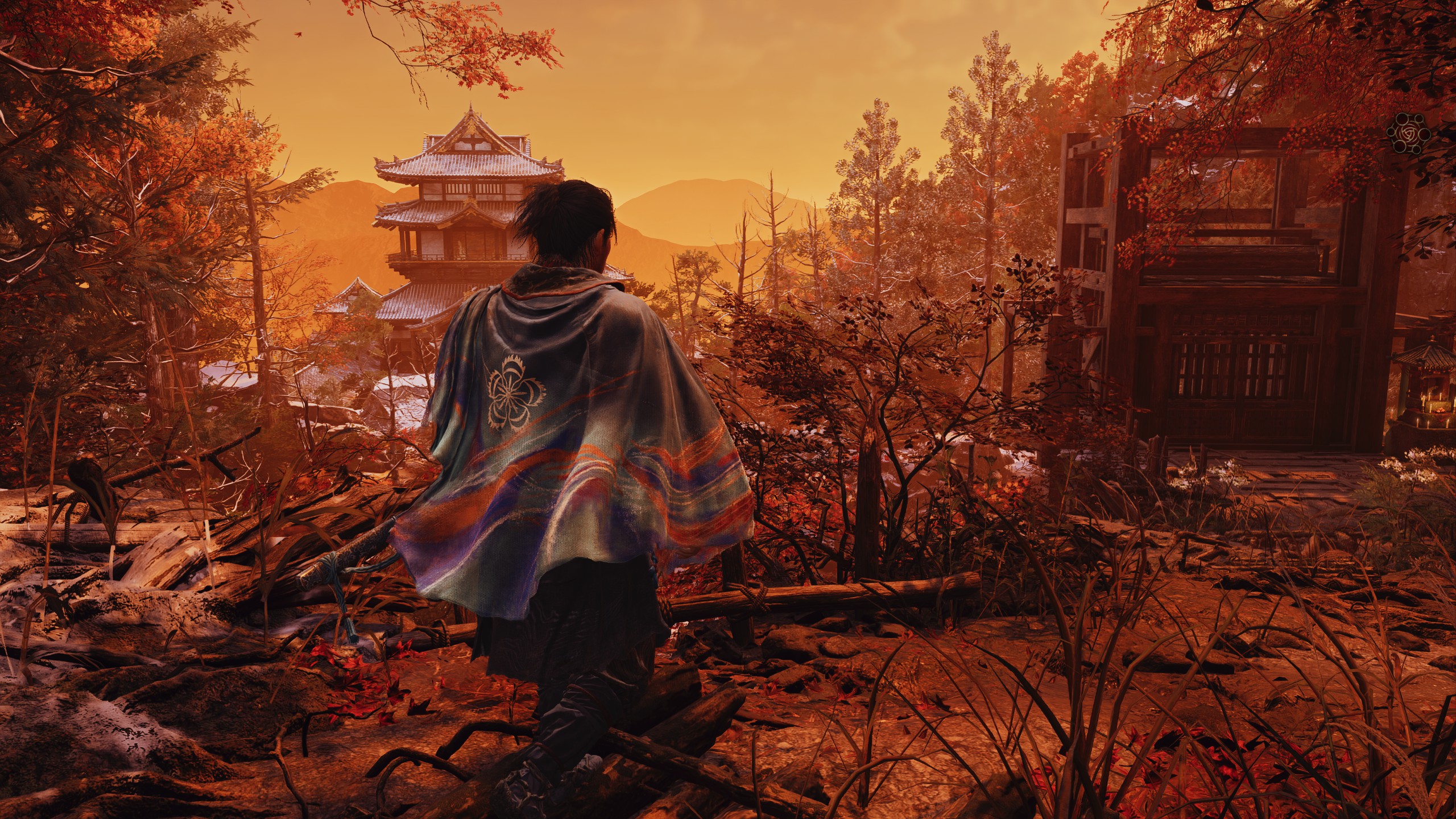 Onimusha: Way of the Sword