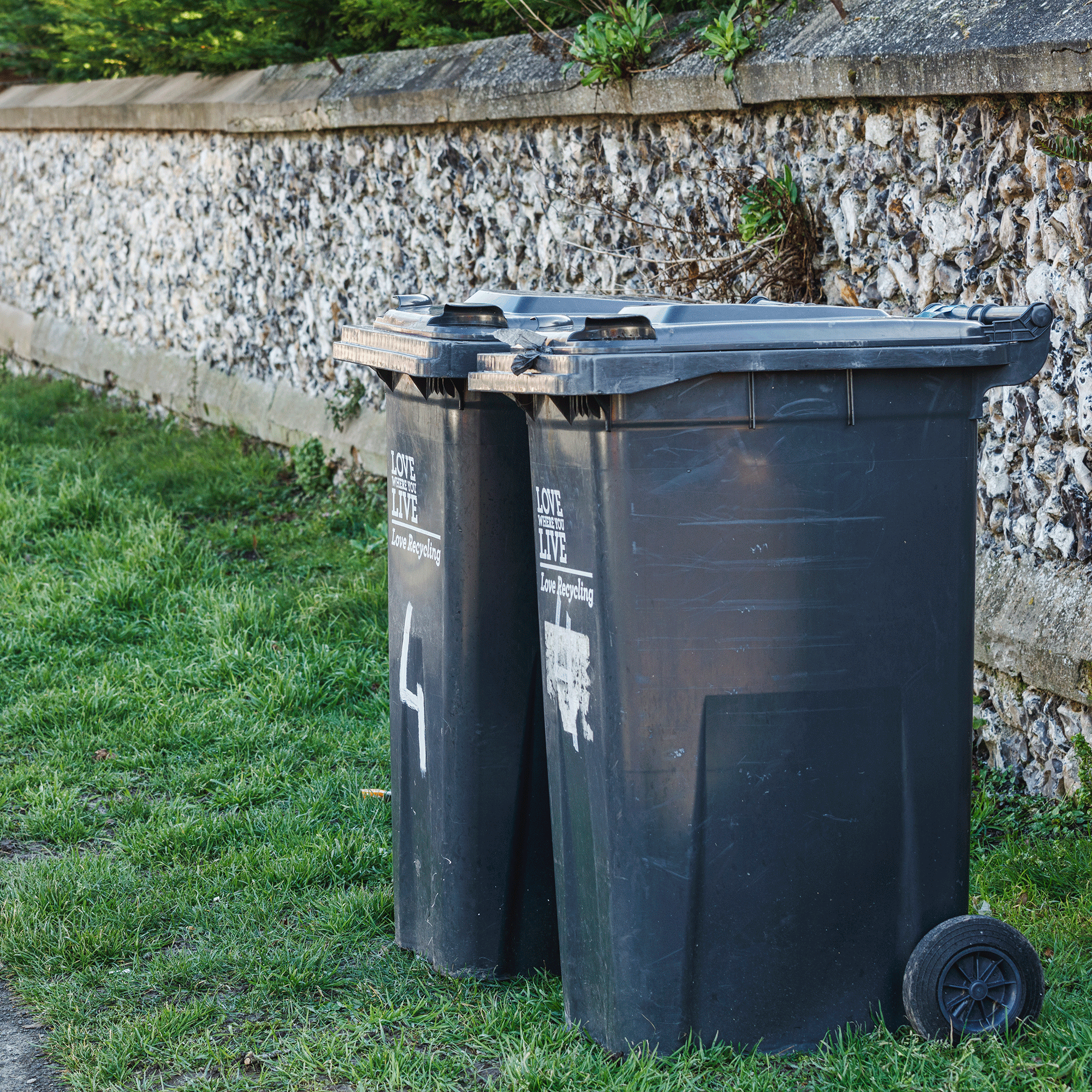 How do maggots form?  Wheelie Bin Cleaning Service