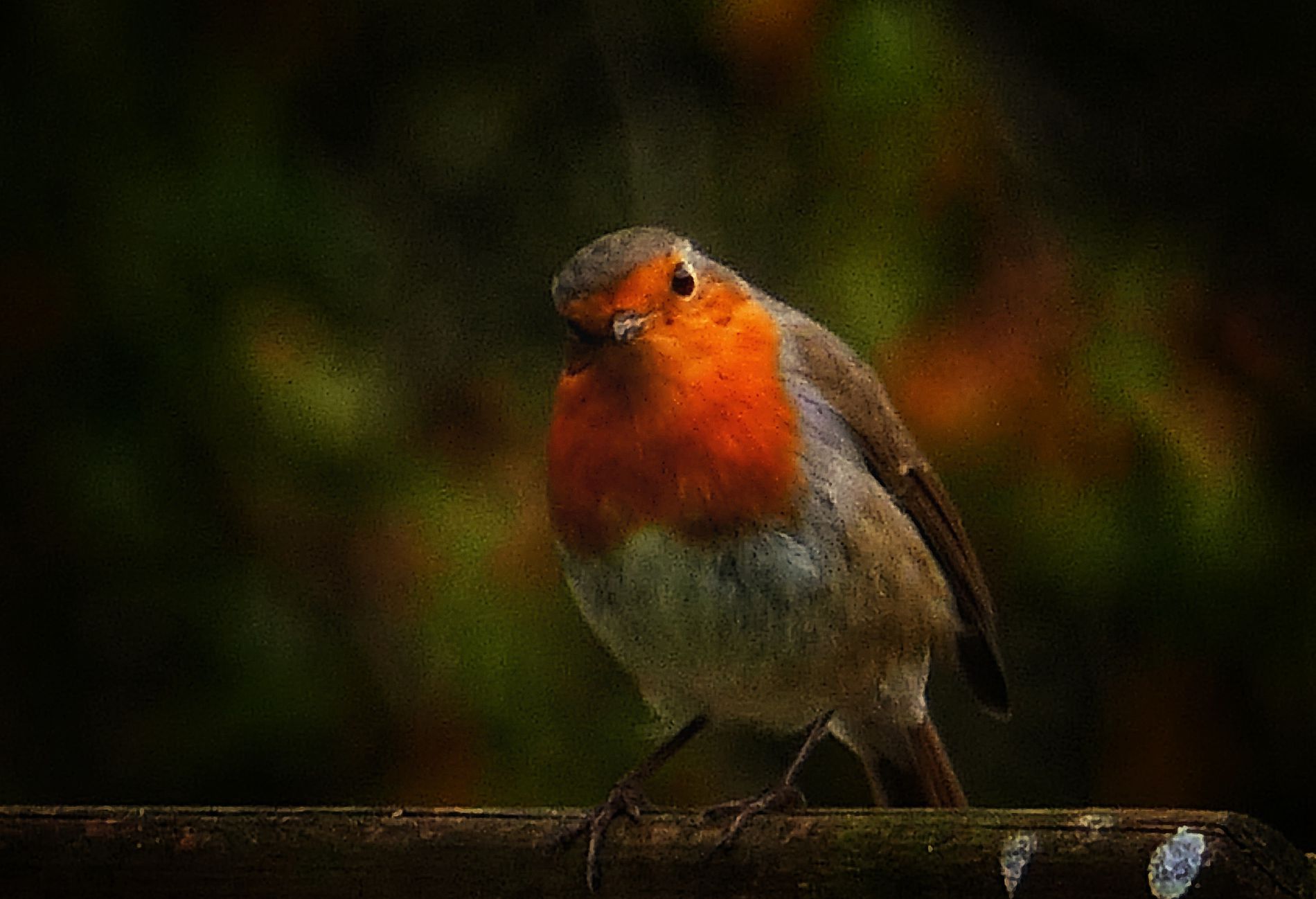 GuruShots - Nature&rsquo;s Masterpiece 2026