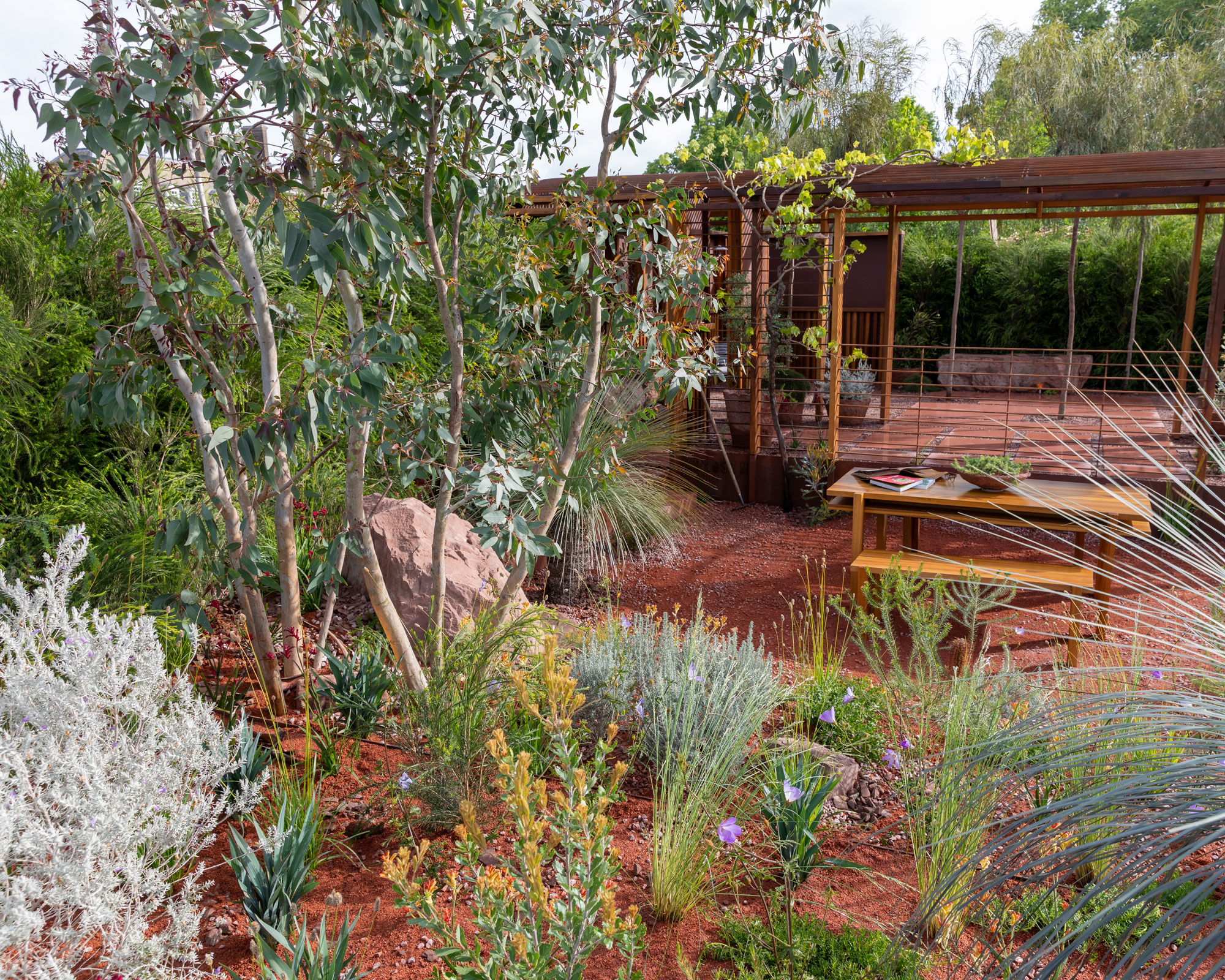 drought tolerant planting design with eucalyptus tree, pergola and garden furniture set