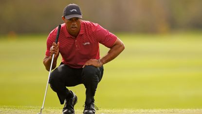 Tiger Woods reads a putt