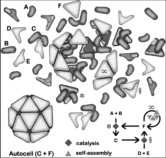 The catalysts could form enough molecules that self assembly occurs, creating a barrier around the catalysts so that they don't disperse.