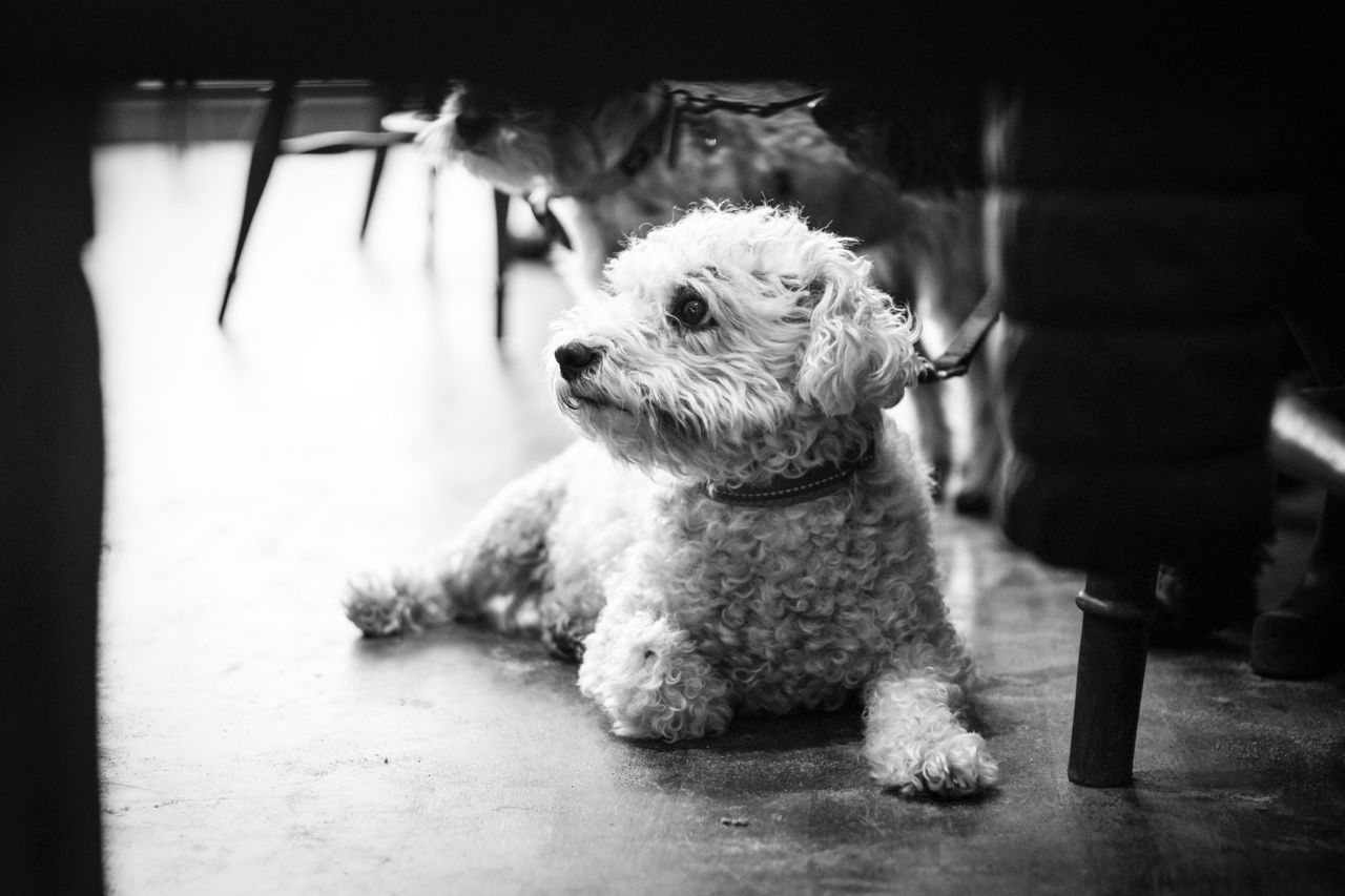 Sample image taken with the Canon EOS R50 V