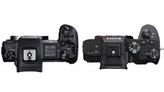 Canon EOS R vs Sony A7iii