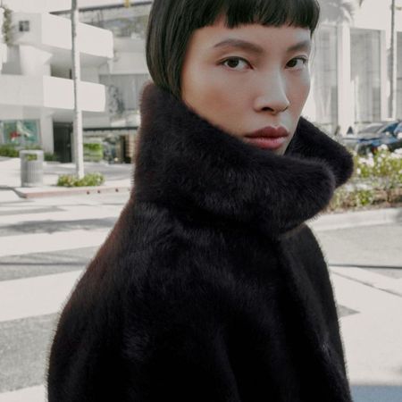 Model wears a brown faux fur jacket
