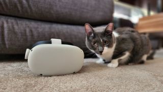 A cat laying next to the Oculus Quest 2