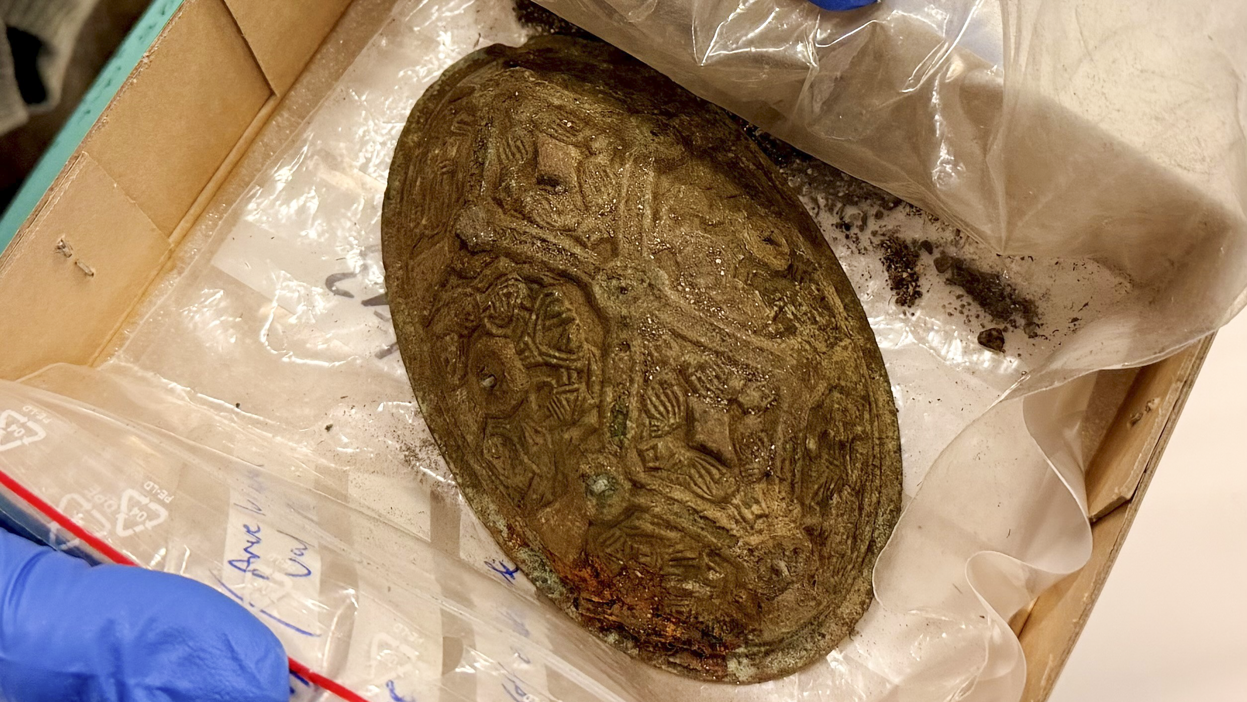 an oval metal brooch with design still covered in dirt in a cardboard box