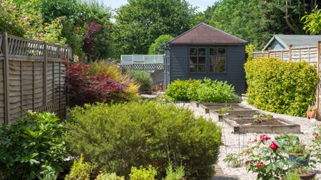 A residential backyard without a lawn