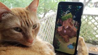 A cat plays Secret Cat Forest in a leisurely manner
