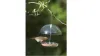 Clear hanging bird feeder 
