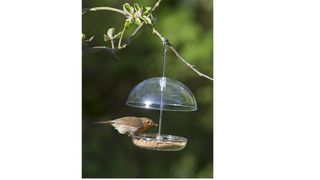 Hanging dome bird feeder
