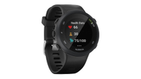 Garmin Forerunner 45 | was $199.99 | now $149.99 at Best Buy