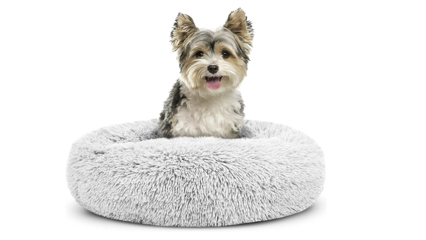 Dogs Bed donut bed with terrier