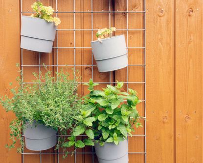 Herb garden ideas: 21 ways to grow herbs outdoors and in | Gardeningetc