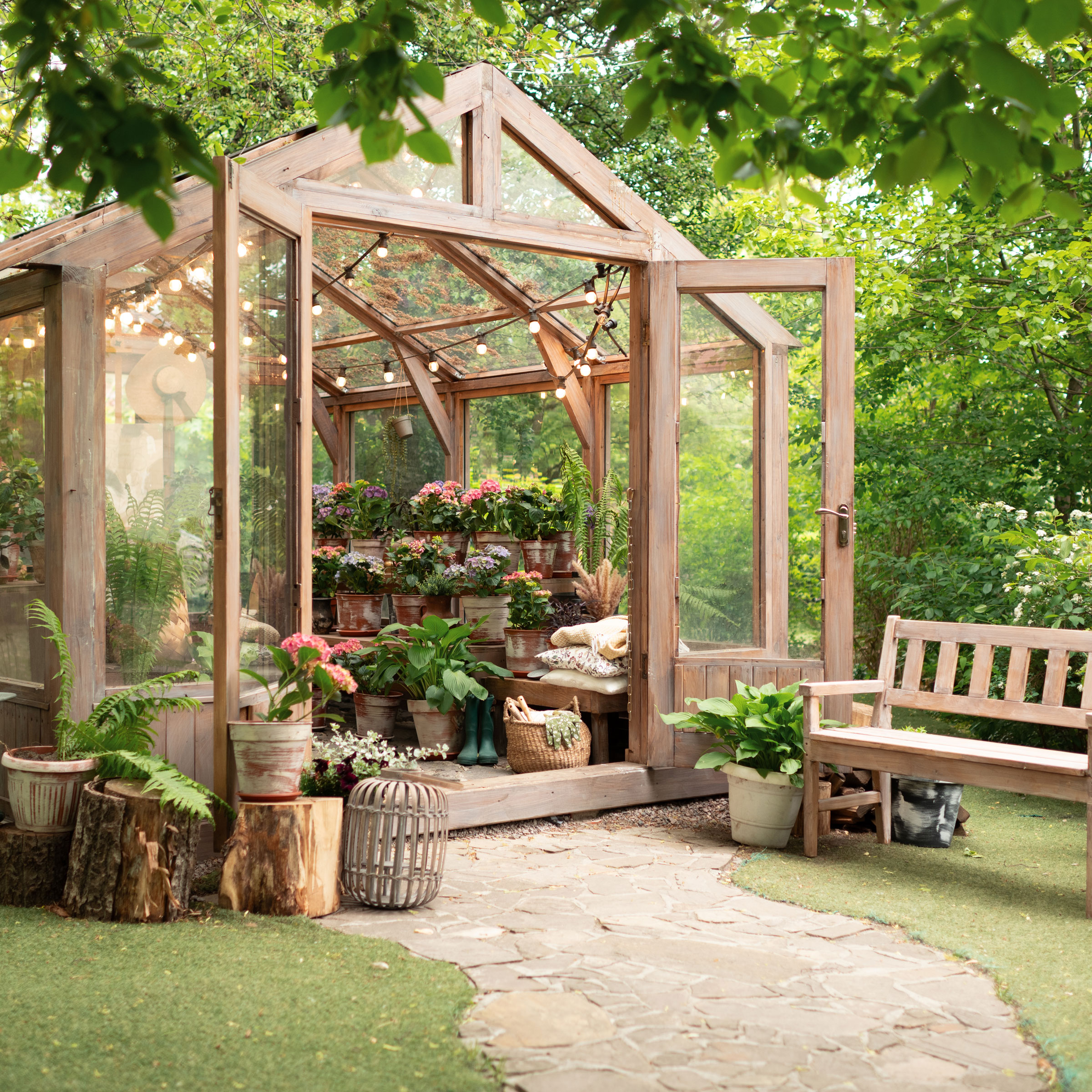 wooden frame greenhouse showing plants and hanging lights with bench outside