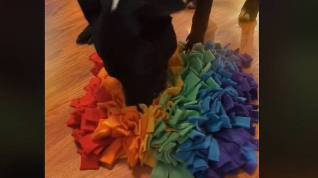 DIY snuffle mat ideas: How to make a snuffle mat for dogs | PetsRadar