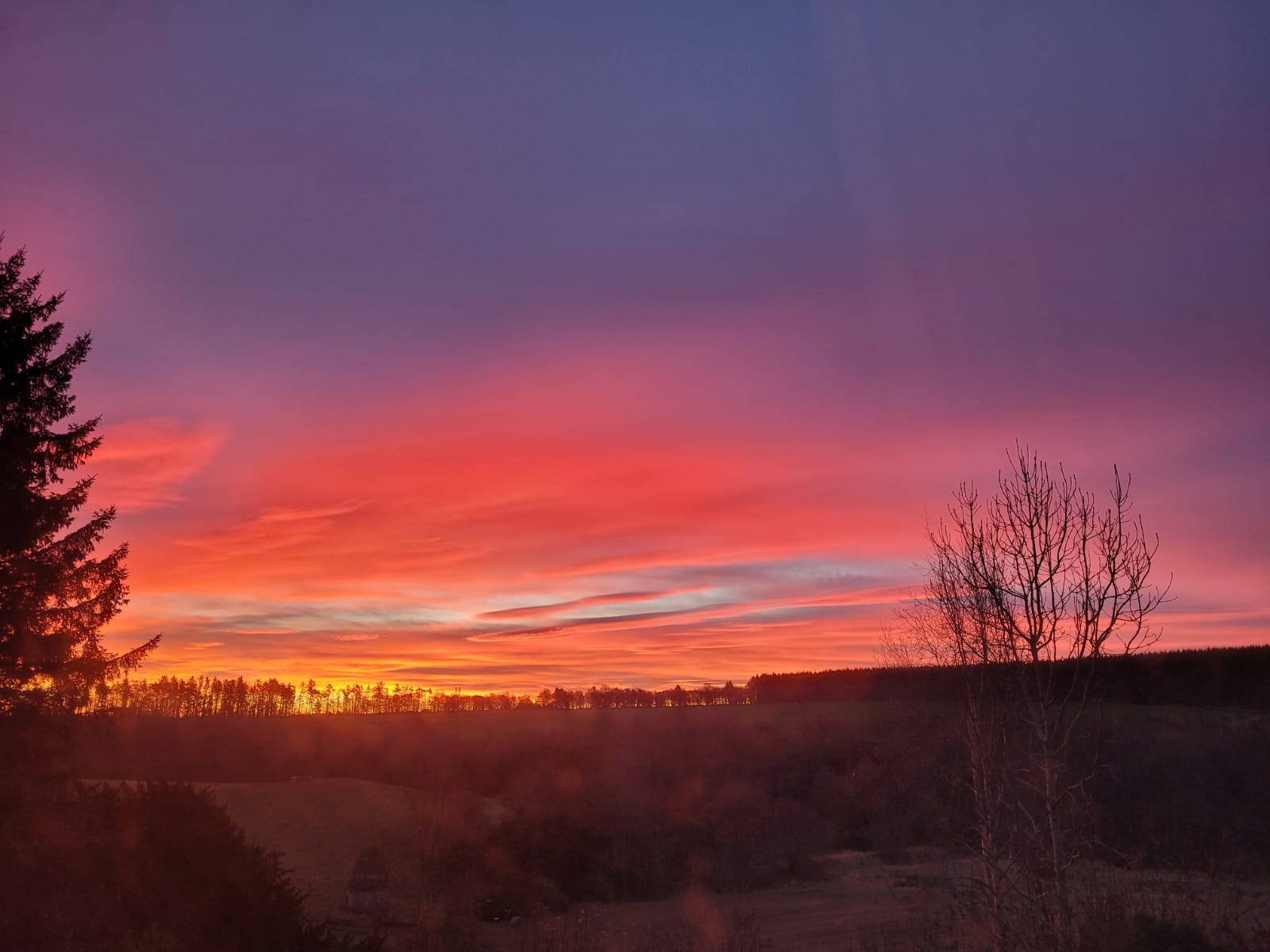 GuruShots - Nature March 2026